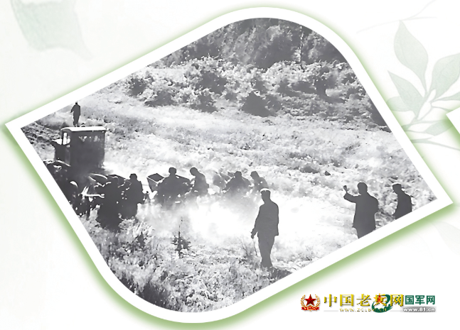 de1259ae0b74340232303fdc585cfea0.png
